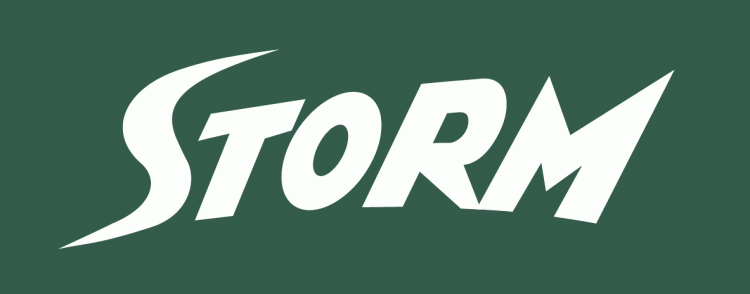 Seattle Storm 2000-Pres Wordmark Logo iron on heat transfer
